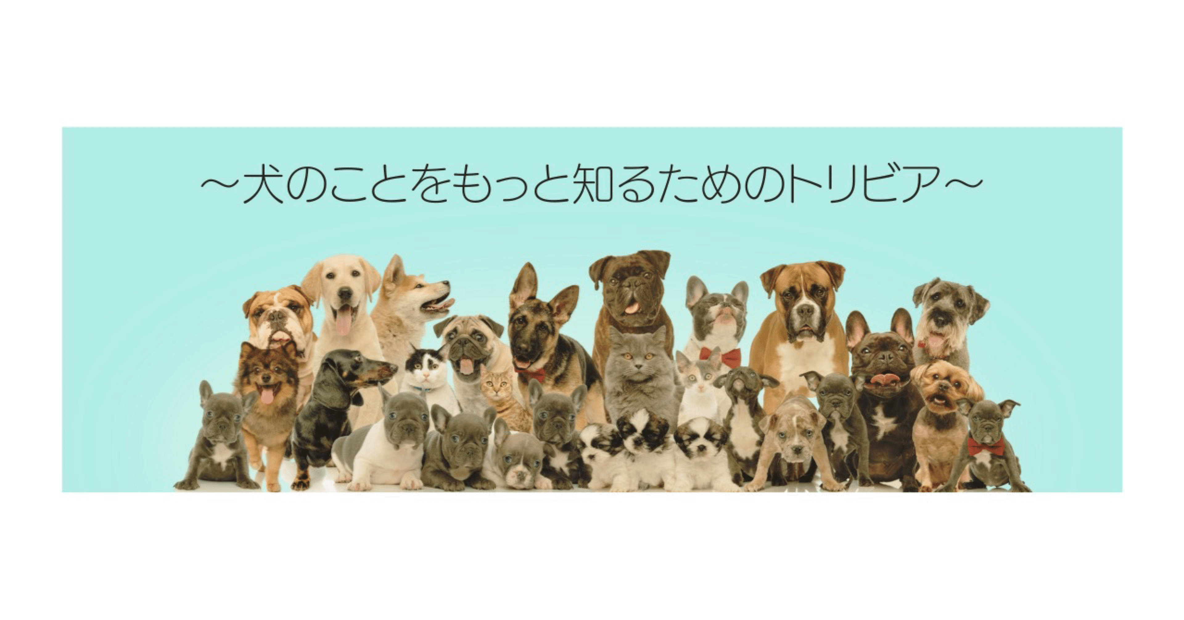 犬のことをもっと知るトリビアその５ Taracco Note