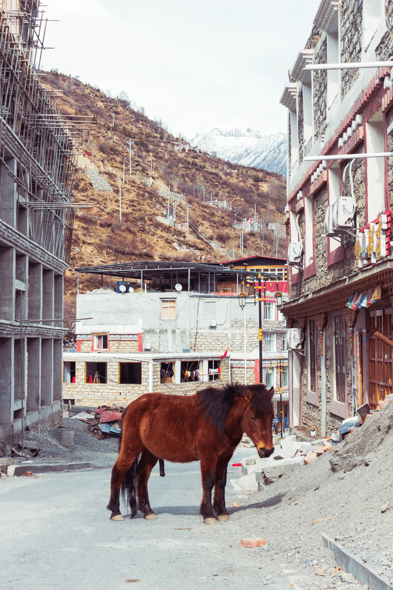 四川省・雲南省のチベット自治州｜Pieceofcake