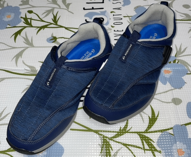 青い靴を買いました わんこあさひ Note