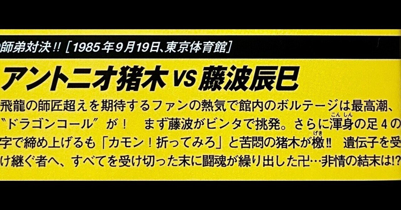 ☆猪木vs藤波☆ 闘魂スペシャル19｜格闘技プロレス買取販売
