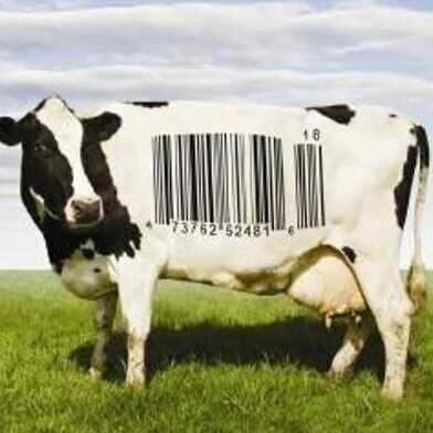 映画の演技」を少しずつ読む｜COWS