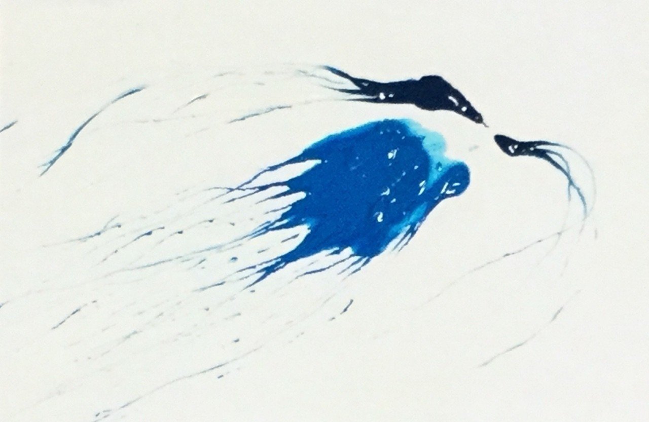 ヒカリノクラゲ 土曜絵画 しんきろう Note