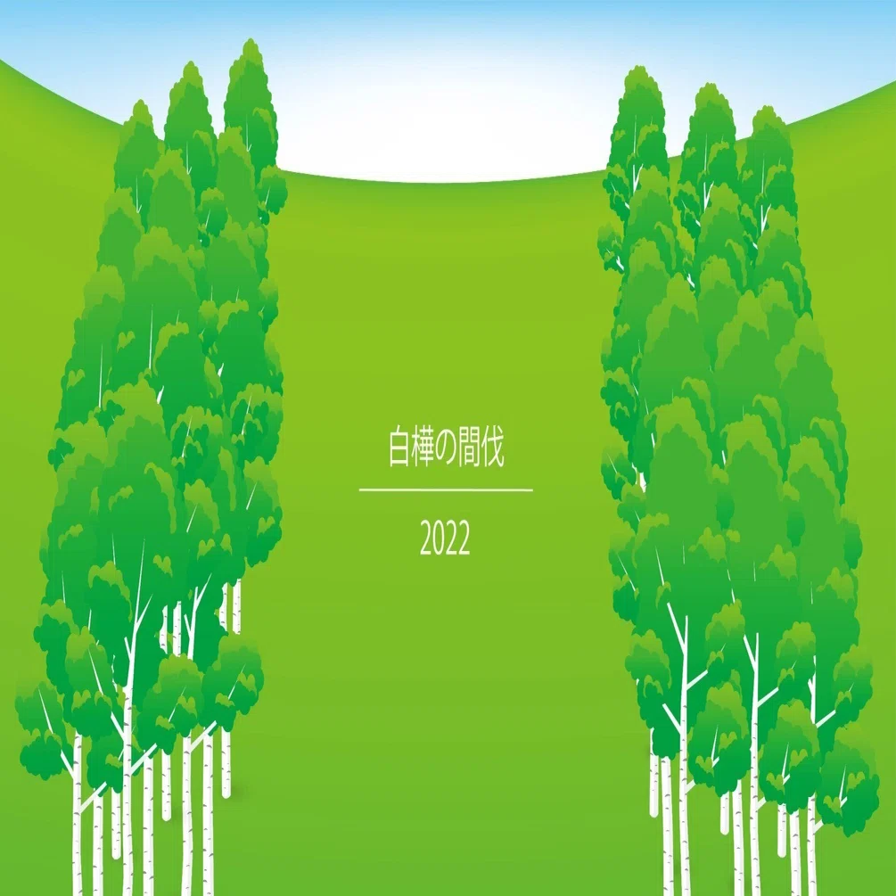 白樺の間伐2022｜(株) 信州白樺クラフト製作所