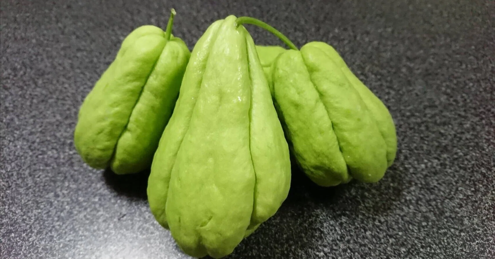ブラジル野菜 「シュシュ」｜エリック