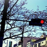 せかいにさよなら は人生のテーマソング 淡乃晶 Note