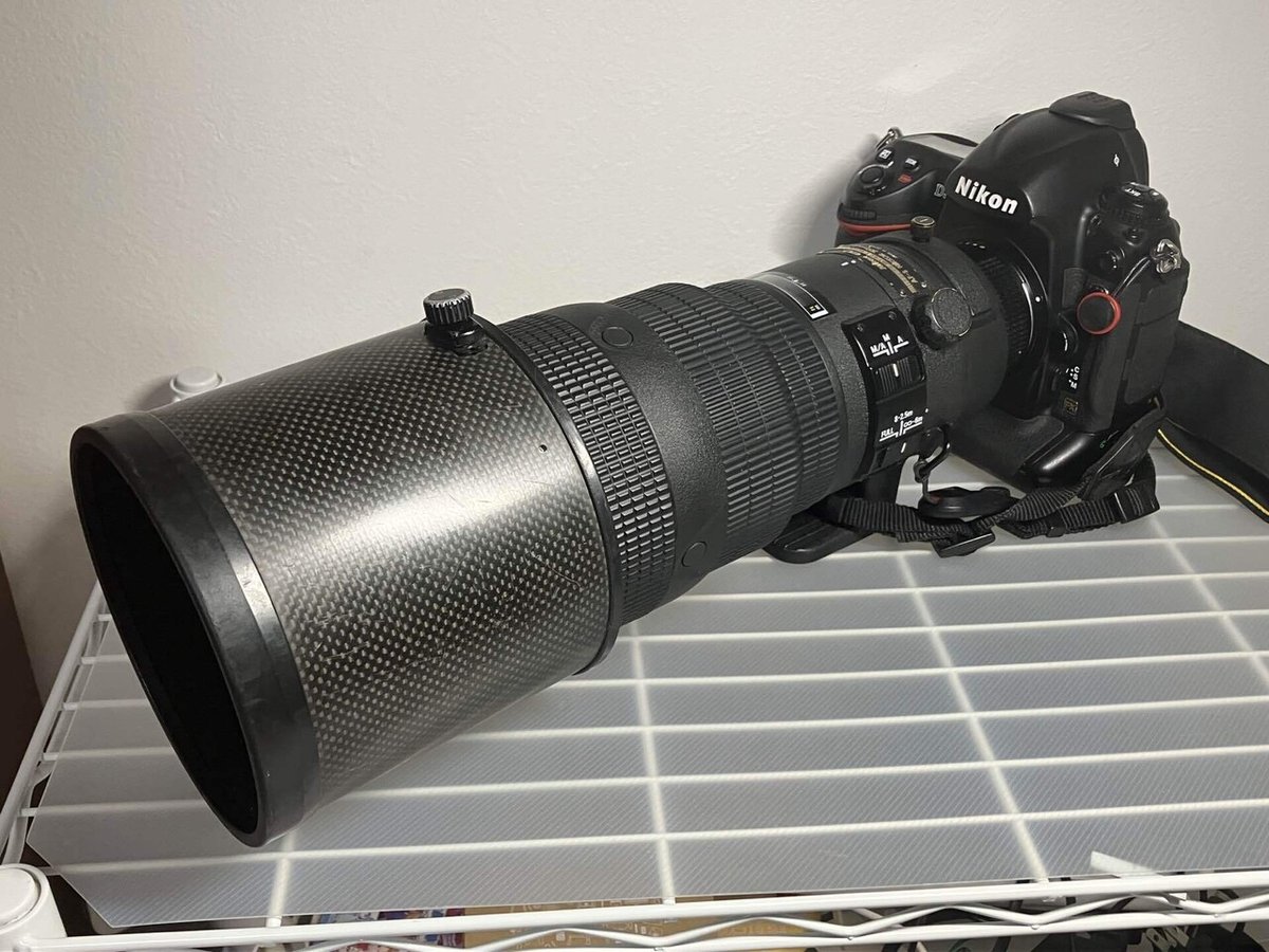 レンズレビュー】Ai AF-S NIKKOR 300mm F2.8D ED｜鷺 