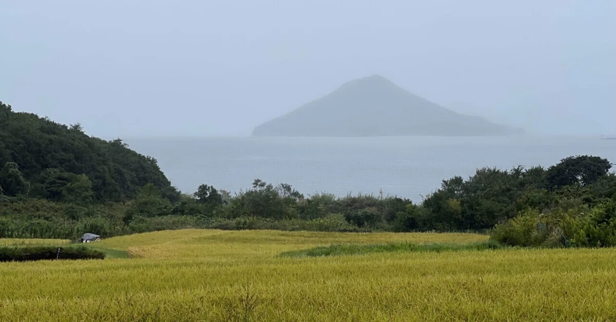豊島】瀬戸芸_「海を夢見る人々の場所」での出会い｜8_HACHI_