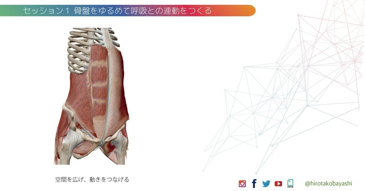 もっとからだの中の空間に気づきを｜身体機能研究家 小林洋太 の 解体新書