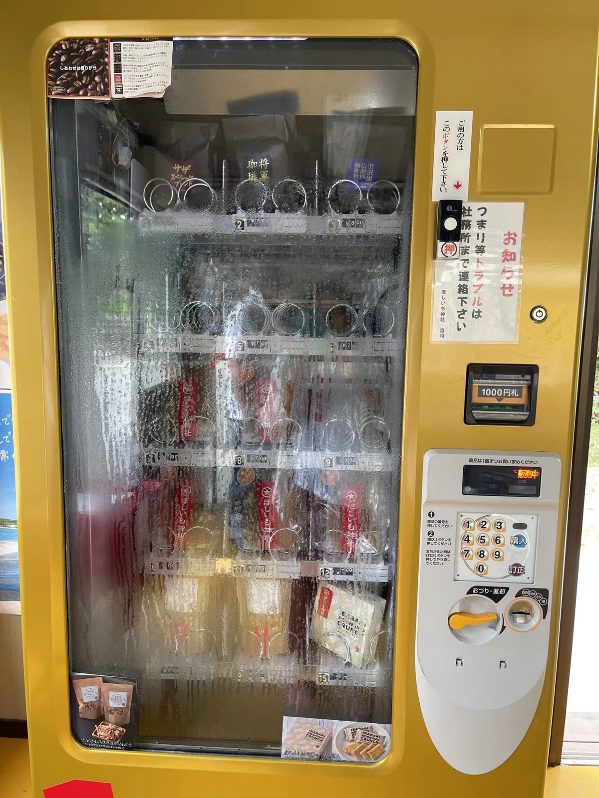 画像1