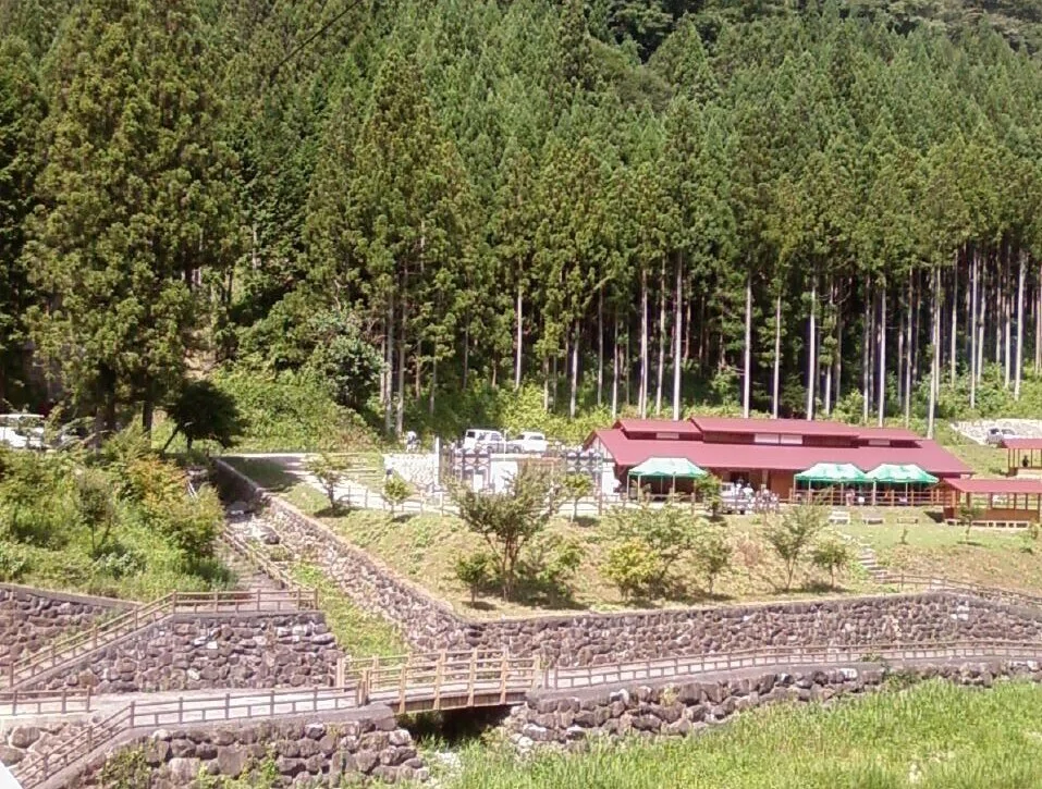 画像4