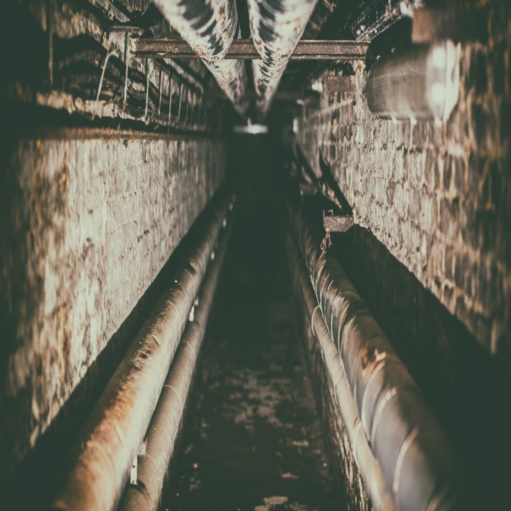 下水道にワニはいない キルロイ Note