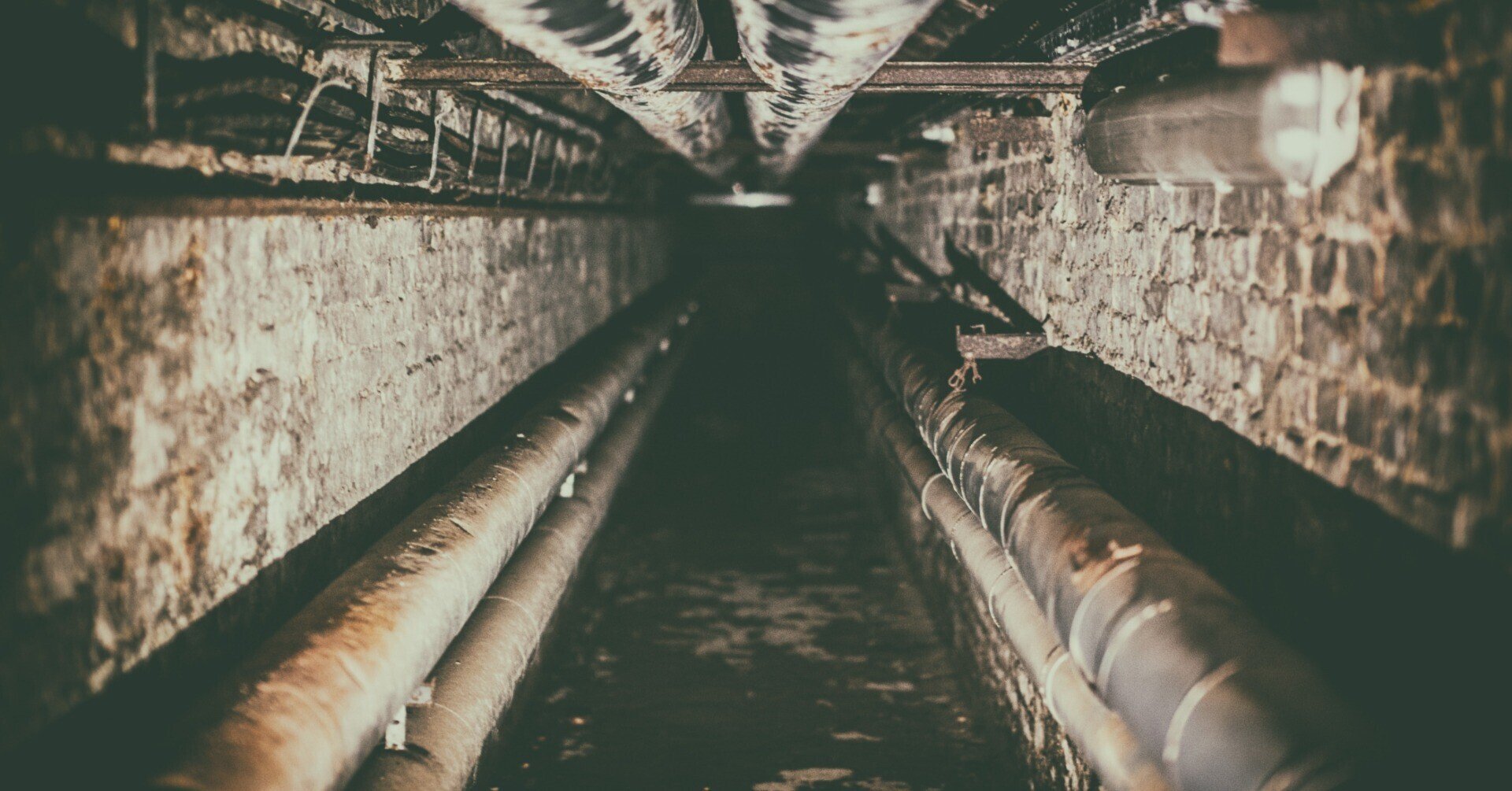 下水道にワニはいない キルロイ Note 下水道にワニはいない キルロイ Note