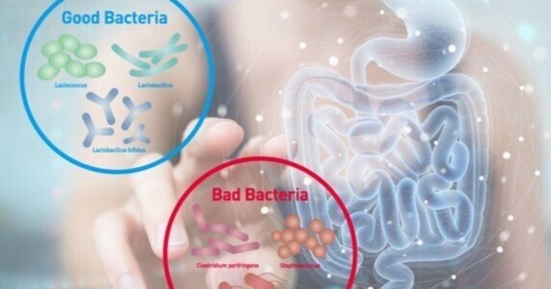 【noteで学ぶ腸内細菌学83番外篇：虫歯治療で抗生物質を飲むことになった話。】