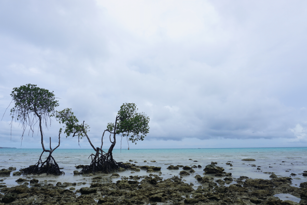 10月7日 アンダマン諸島 5日目 Kiyofumi Note