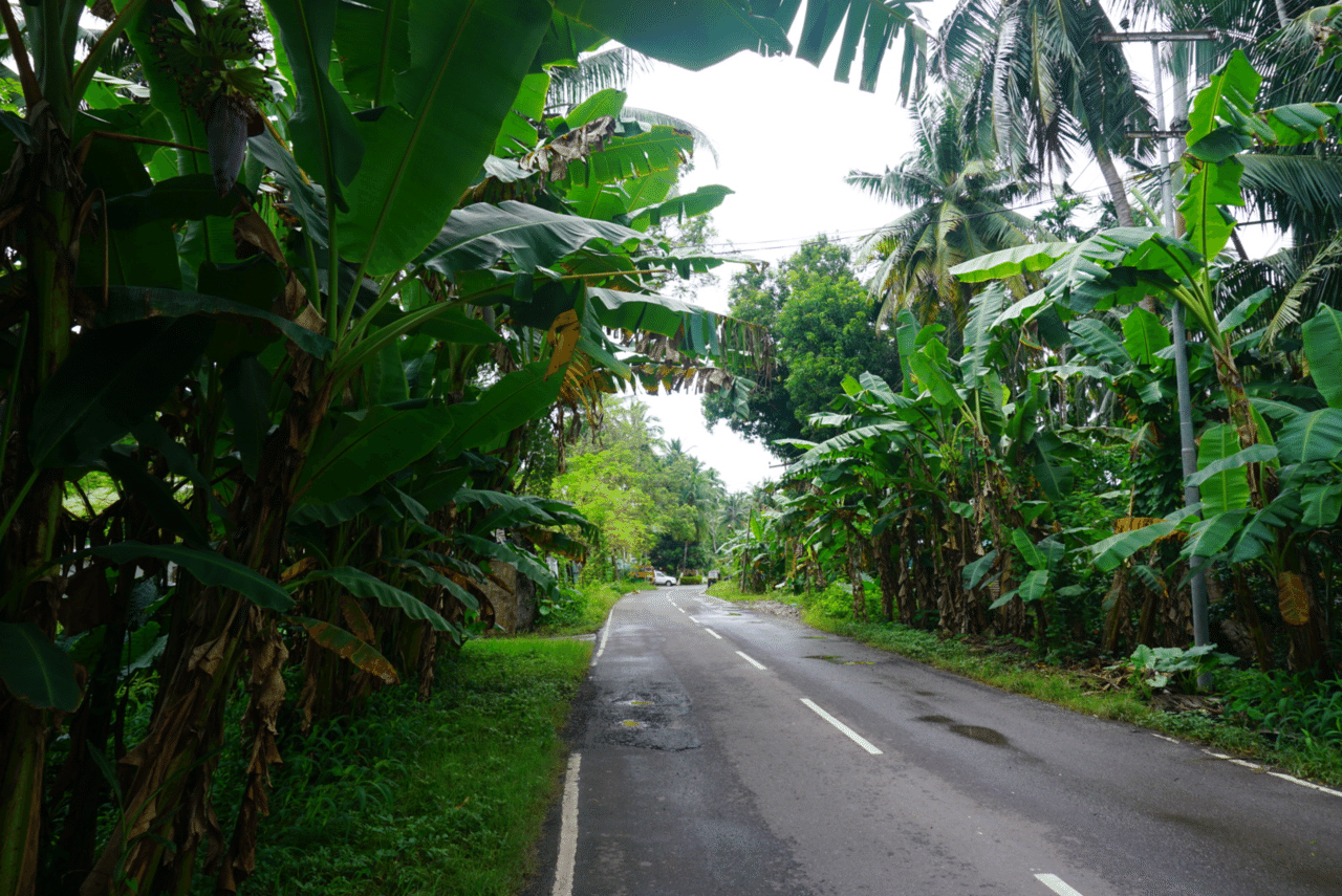 10月7日 アンダマン諸島 5日目|Kiyofumi