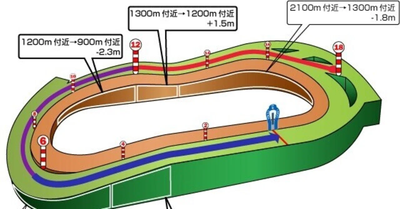 東京競馬場の馬場状態
