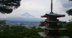 アラモルト発売から21年｜マユシム