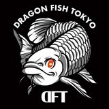 DFT：Dragon Fish Tokyo