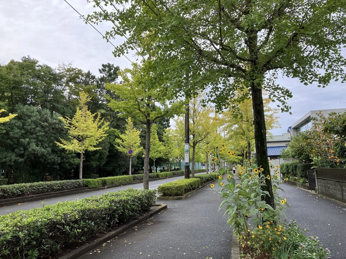 画像5