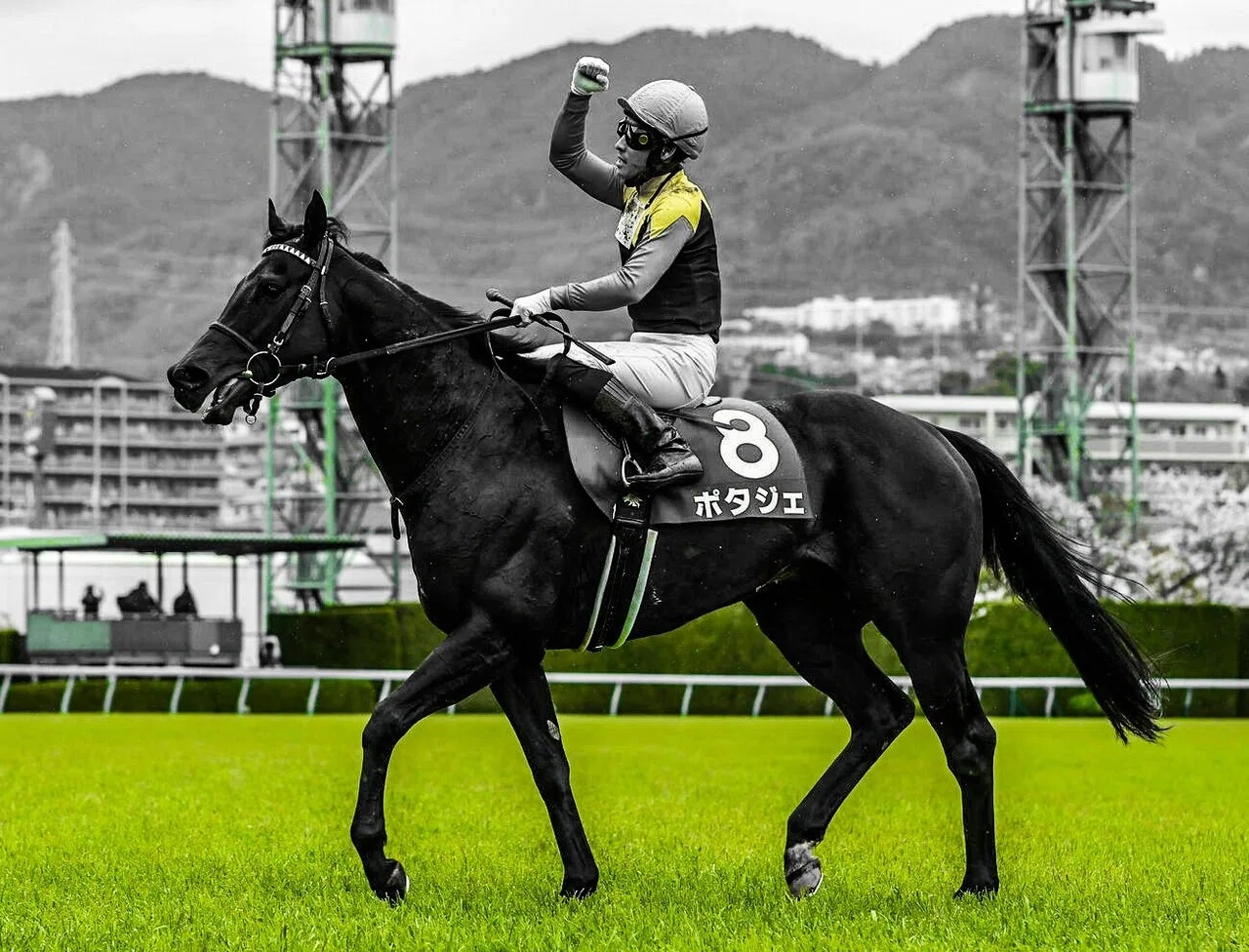 何も毎日王冠だけではないが皆目見当がつかない! G1昇格以降、【大阪杯覇者】が初めて出走。その対角には【2着馬】であり昨年の大阪杯覇者。 大阪 ...