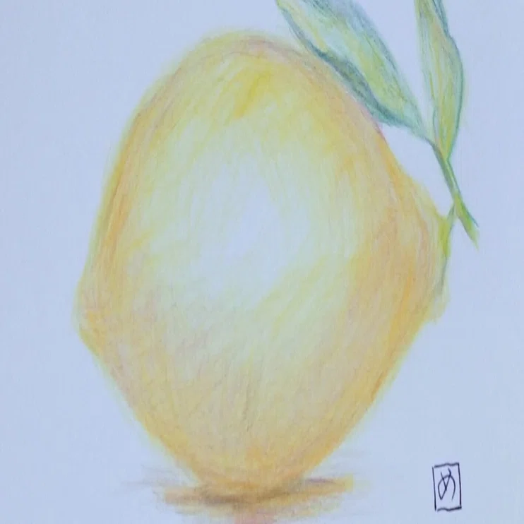 色鉛筆画「レモン」｜めっこ