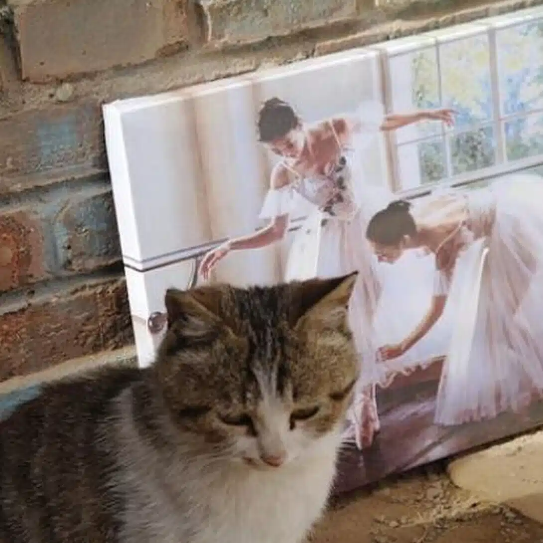 謎の賢人