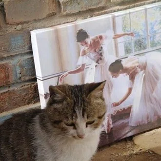 謎の賢人
