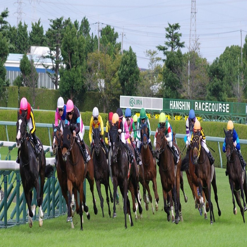 華やかなりし阪神競馬 (K-70 / smc PENTAX-DA☆200mmF2.8)｜夢望庵