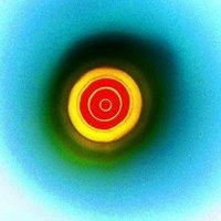 なぜ人は五億年ボタンを押すことができるのか えもいえ Note なぜ人は五億年ボタンを押すことができるのか えもいえ Note