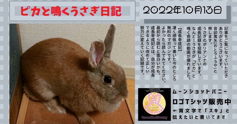 ウサギ の人気タグ記事一覧 Note つくる つながる とどける