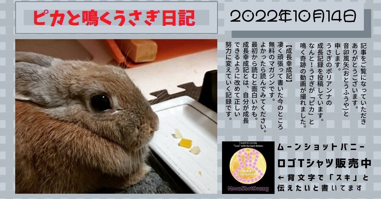【50％OFF】 ミルフィオリ合言葉うさぎ様用です 工芸品