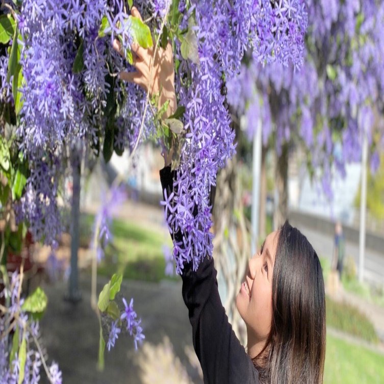 ブリスベンシティーに咲く紫のお花｜フローリストの休日｜Yukina