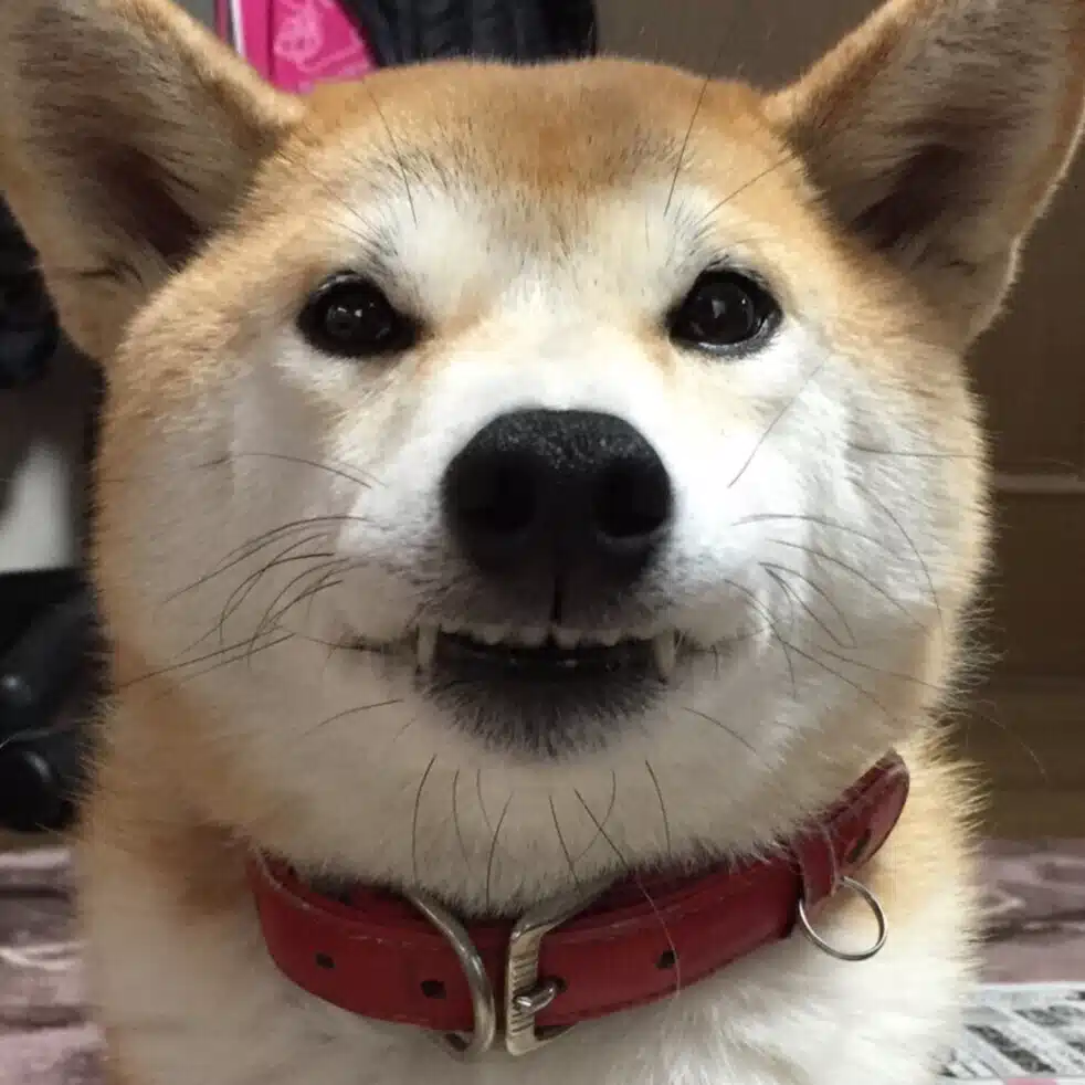 たかっさん