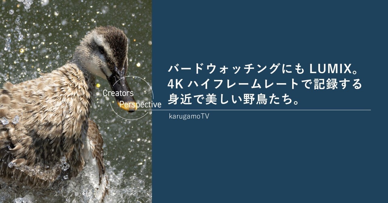 バードウォッチングにもLUMIX。4Kハイフレームレートで記録する