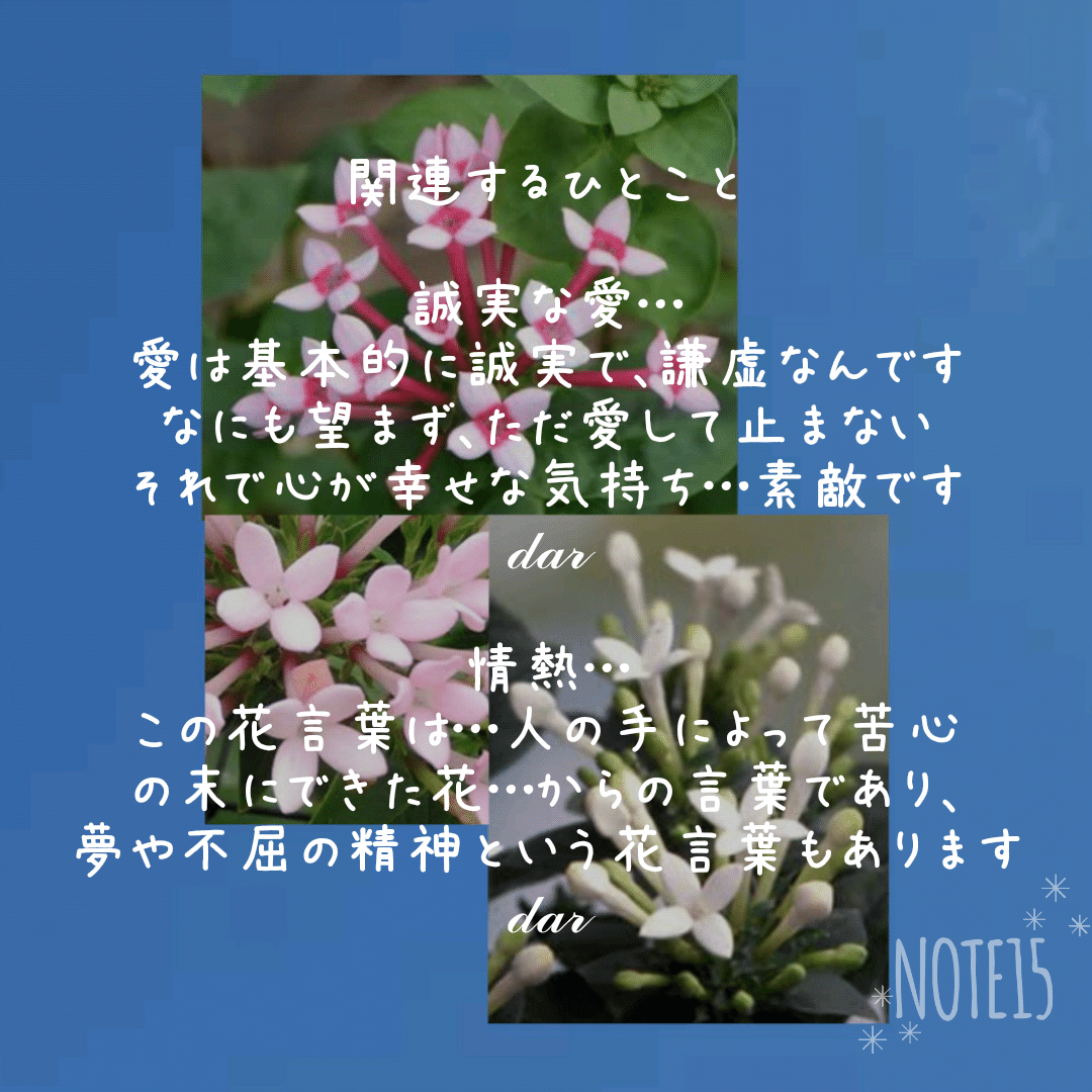 誠実な愛 の新着タグ記事一覧 Note つくる つながる とどける