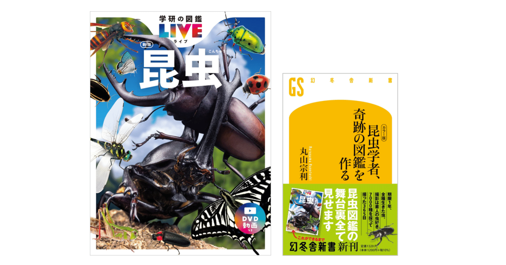 丸山 宗利『[カラー版] 昆虫学者、奇跡の図鑑を作る』／『昆虫 新版