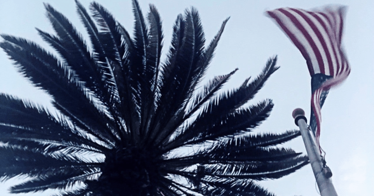 rectangle_large_type_2_c78f3c50882dcb5f5a1bf0185177fc78.png?width=2000&height=2000&fit=bounds&format=jpg&quality=85