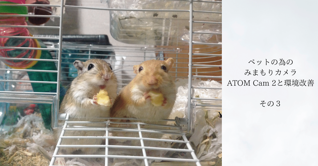 ペットの為のみまもりカメラ；ATOM Cam 2と環境改善 その3｜すなガジェ