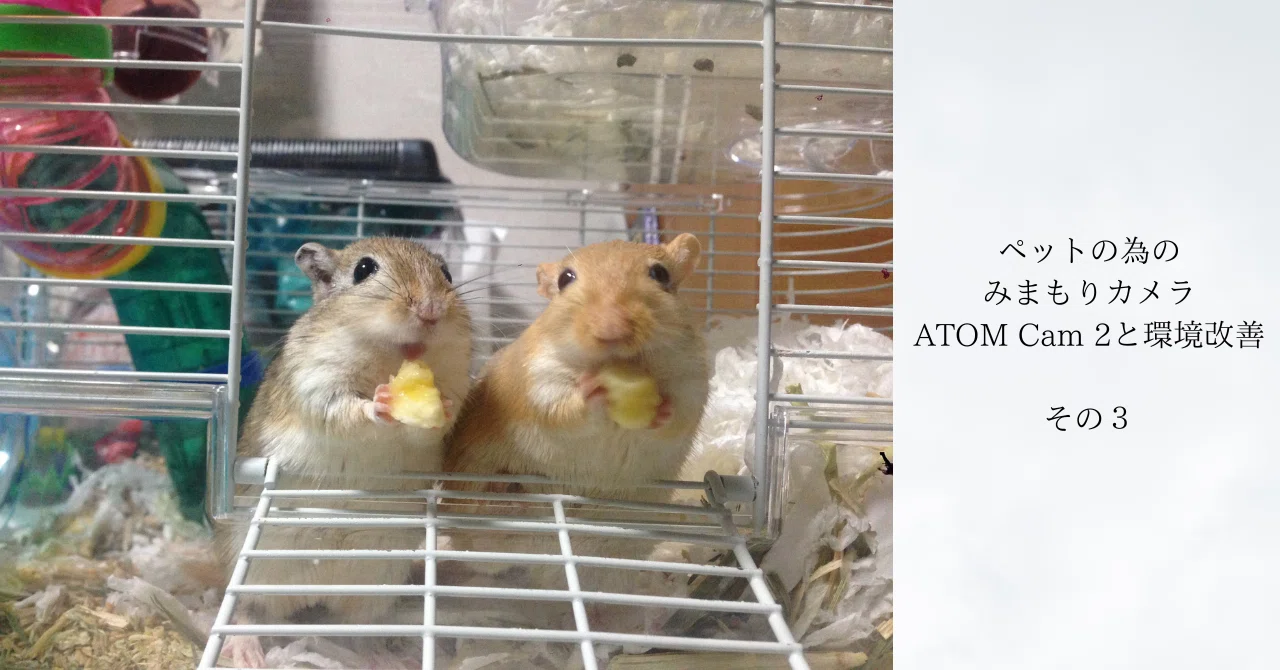 ペットの為のみまもりカメラ；ATOM Cam 2と環境改善 その3｜すなガジェ