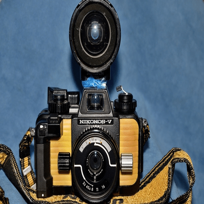 王様の瞳 〜写真時間・Ⅰクラカメ〜｜Laskeypictures