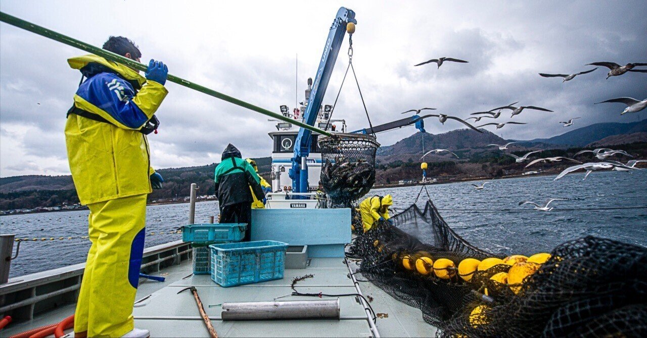 深追いせず、待ちうける。近代・定置網漁 【ニッポンの魚獲り 深追いせず、待ちうける。近代・定置網漁 【ニッポンの魚獲り