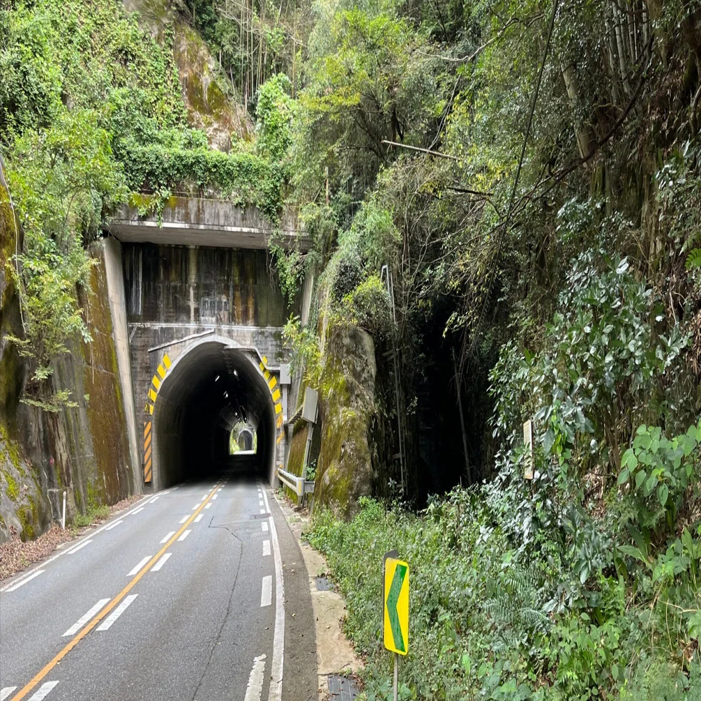 【中古】 トンネルの向こうに 榎谷洞道 山口県長門市｜Asatteca