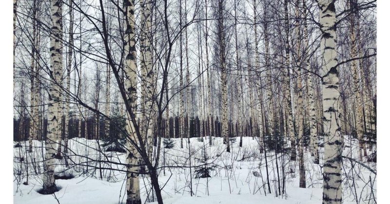 森が呼んでいる（3）フィンランドの長い冬をたくましく生き抜く方法