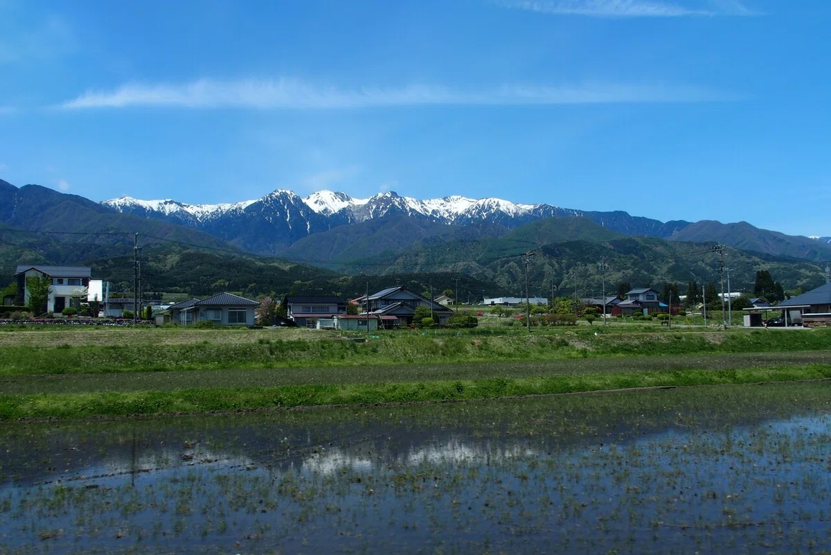 画像23