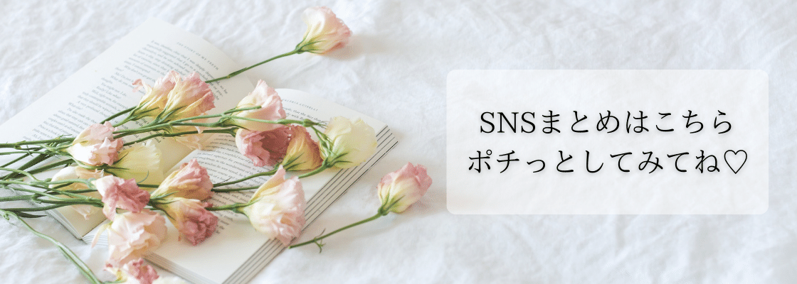 SNSまとめリンク