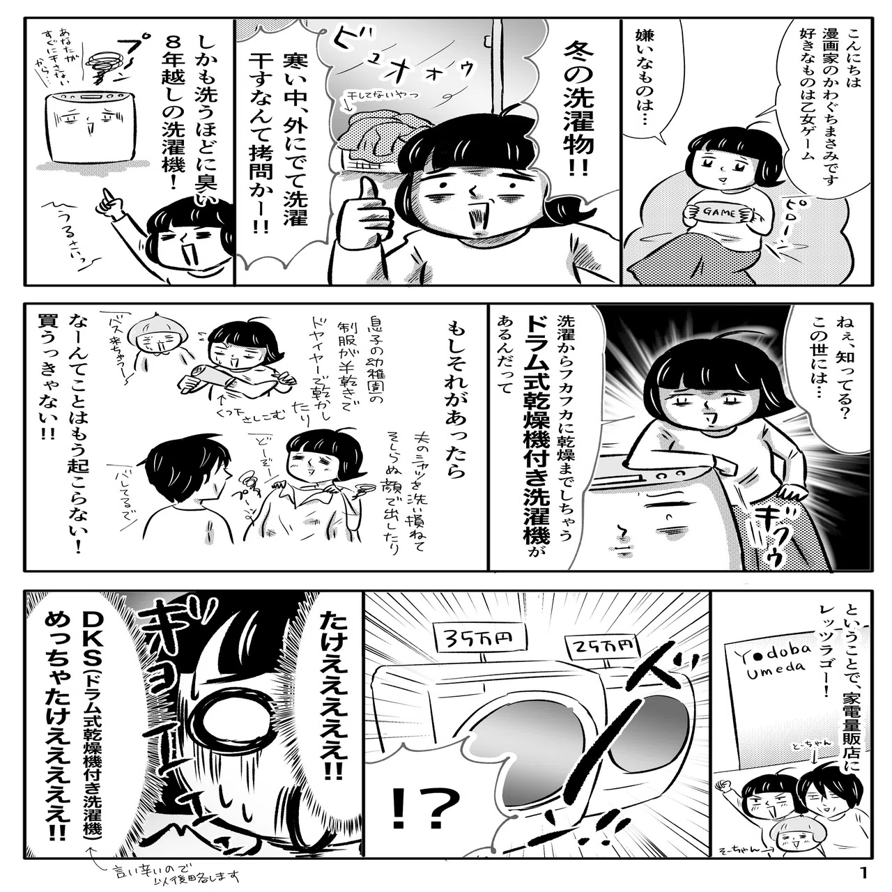 洗濯が嫌すぎてドラム式洗濯機を買った話。｜川口真目（かわぐちまさみ）