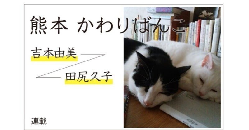 愚痴りもするけど、やっぱり猫たちは私の伴侶――「熊本かわりばんこ」#19〔年をとって猫と暮らすということ〕吉本由美