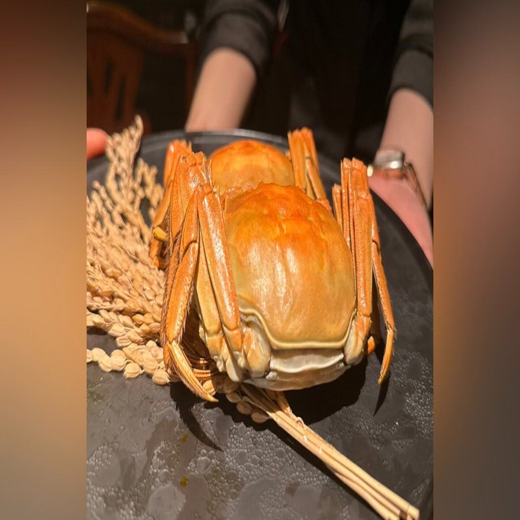 上海蟹と鎖国状態の中国｜堀江貴文(ホリエモン)