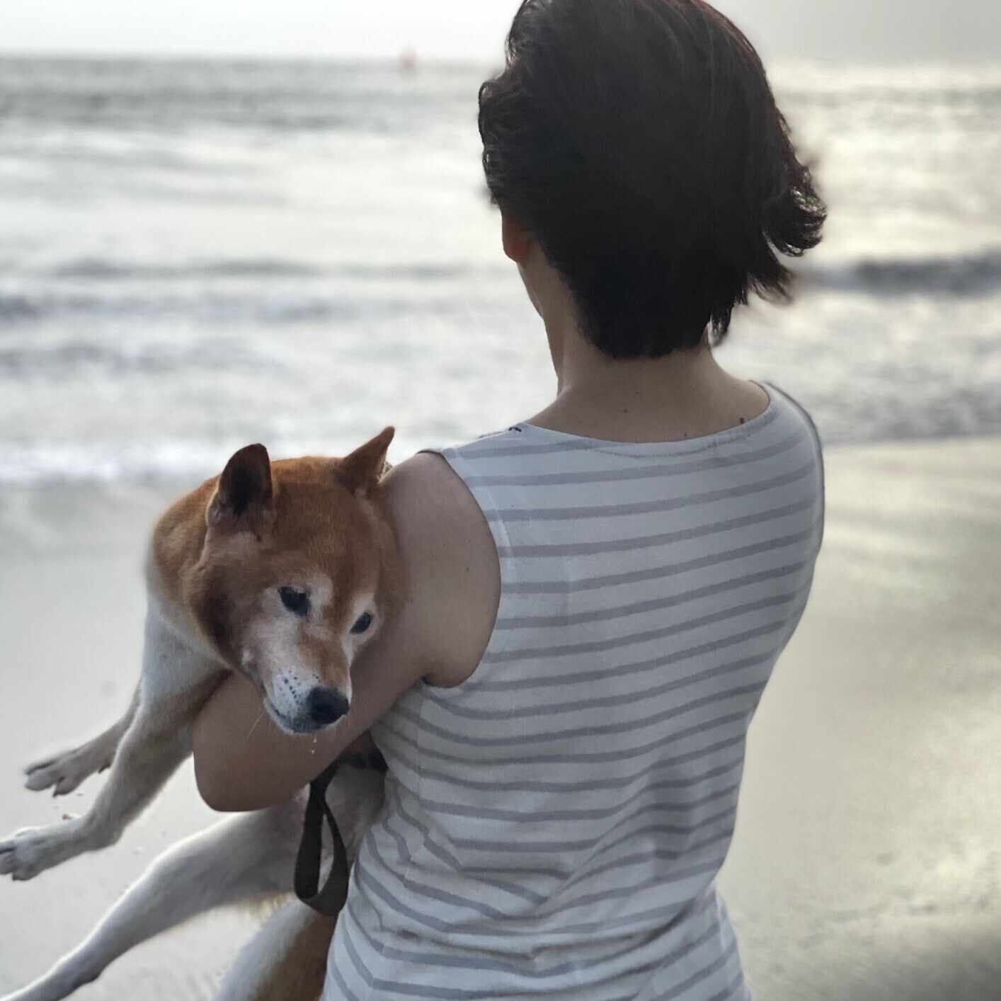 まさのあつこ　地味な取材ノート