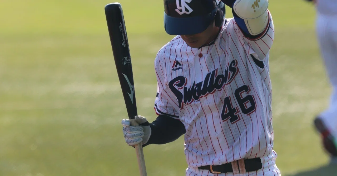 NPB 谷内亮太選手 バット